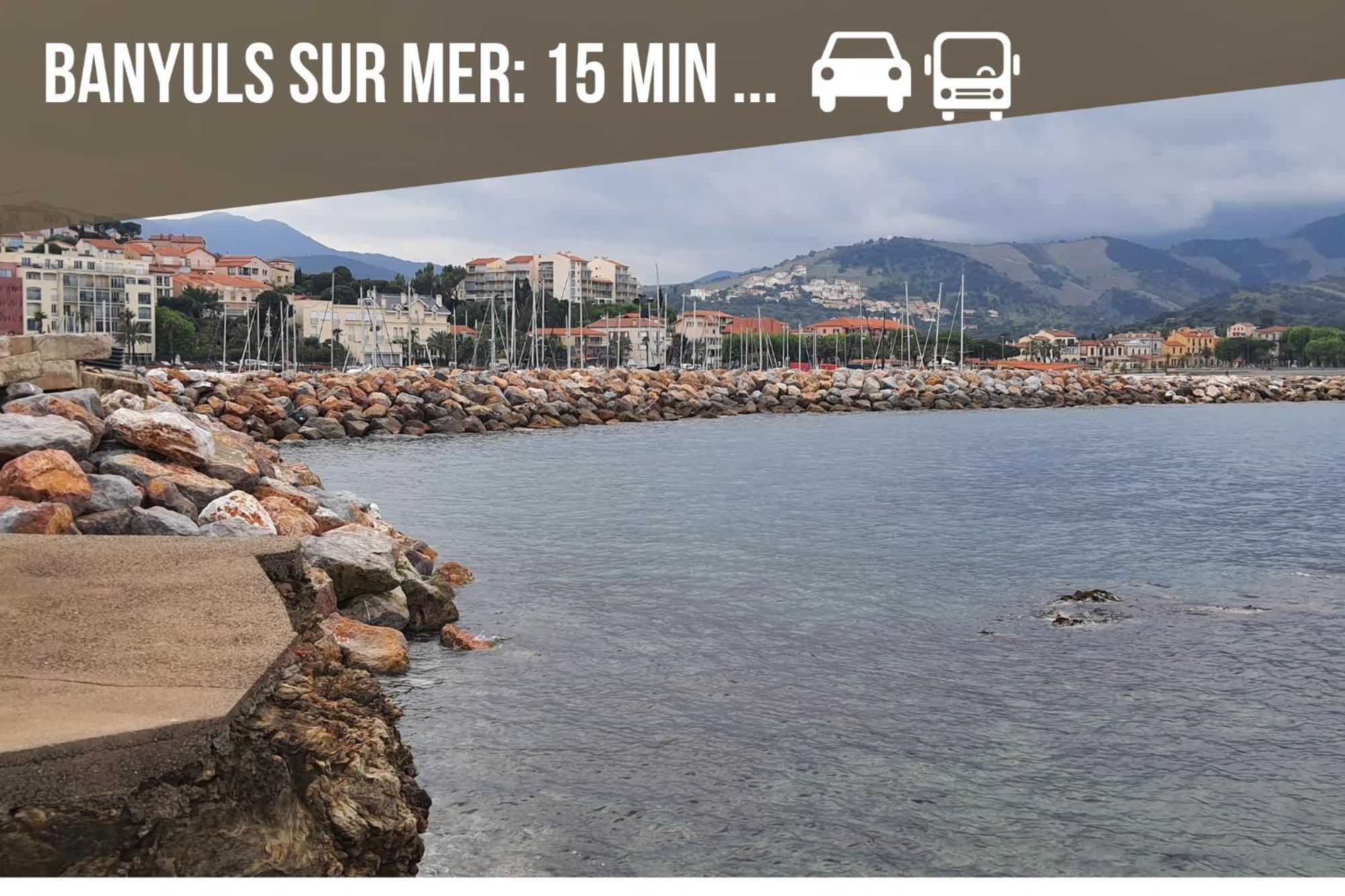 L'Escapade, Port A 200M, Climatisation Et Balcon Apartment Port Vendres ภายนอก รูปภาพ